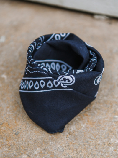 Bandana marine