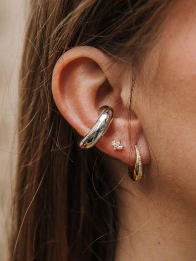 Puces d'oreilles